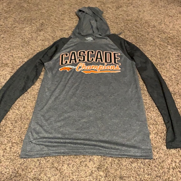 EUC gray hoodie cascade champions size small - Picture 1 of 6